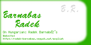 barnabas radek business card